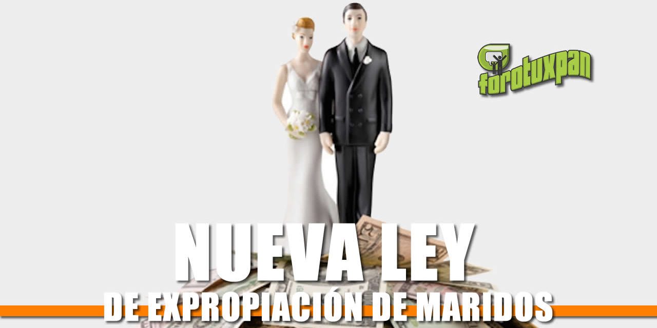 Nueva LEY DE EXPROPIACIÓN DE MARIDOS