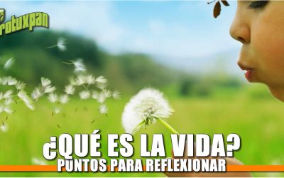 ¿Qué es la VIDA?