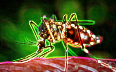 EL MOSQUITO RADIACTIVO