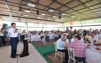 El turismo será el ancla del desarrollo de Veracruz: Héctor Yunes Landa
