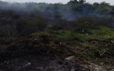 Incendio en Cobos moviliza a Bomberos.