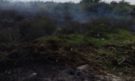 Incendio en Cobos moviliza a Bomberos.