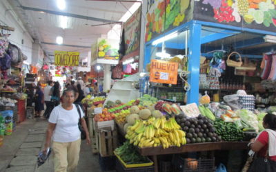Mercado Municipal requiere rehabilitación integral.