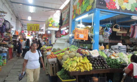 Mercado Municipal requiere rehabilitación integral.