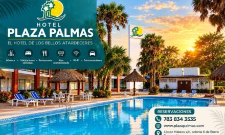 Hotel Plaza Palmas