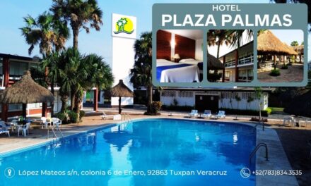 Hotel Plaza Palmas