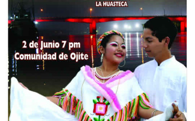 Encuentro Nacional de Huapango