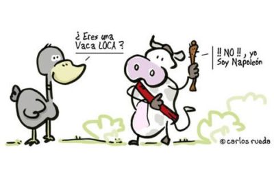 DOS CORTITOS: SIMETRÍA PERFECTA Y FALTA DE MANTENIMIENTO