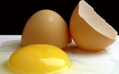 LA UNIVERSIDAD FOROTUXPAN LE PRESENTA UNA TESIS DOCTORAL SOBRE LA PALABRA HUEVO