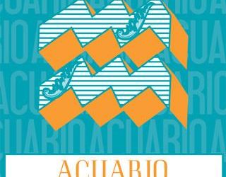 HORÓSCOPOS CHINGONES – ACUARIO – PREDICCIONES PARA 2015
