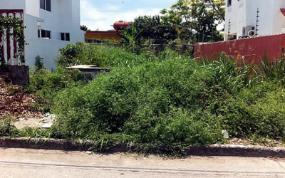 TERRENO DESCUIDADO EN LA BUROCRÁTICA