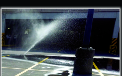 Desperdician AGUA en WalMart