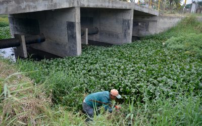 Desazolvan drenajes, alcantarillas, rejillas y zanjas