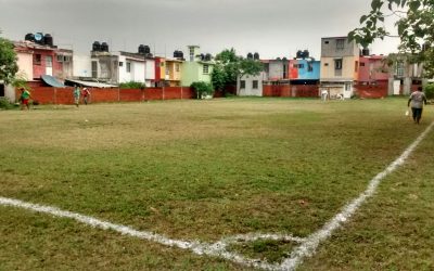 Mantenimiento al campo de Infonavit Tulipanes