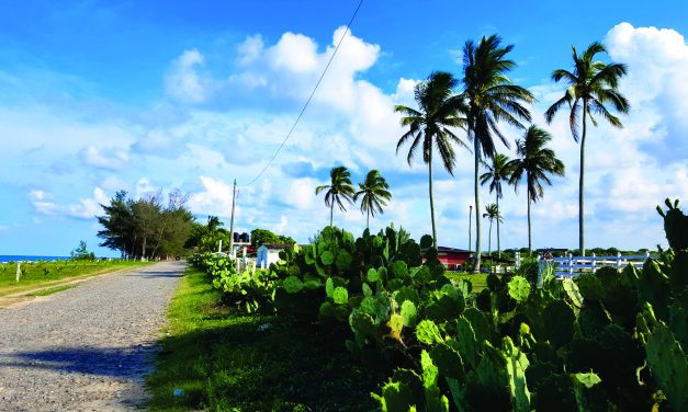 PLAYA VILLAMAR