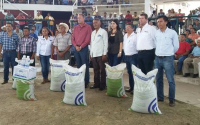 Más de 900 productores tuxpeños beneficiados por el PIMAF 2016
