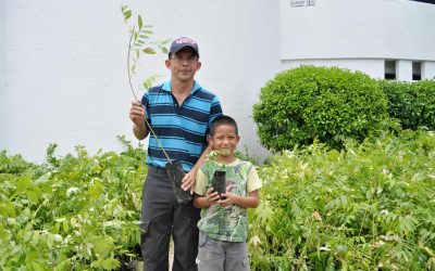 Ayuntamiento de Tuxpan celebró el Día del Árbol