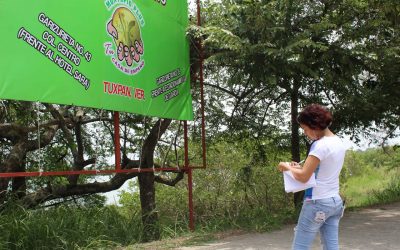 Ayuntamiento de Tuxpan Retira Publicidad de Camellones y Postes