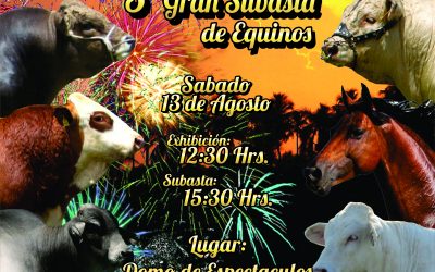 12a Gran Subasta de Ganado Selecto