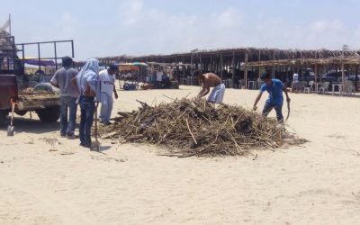 Retiran palizada de playas Tuxpeñas