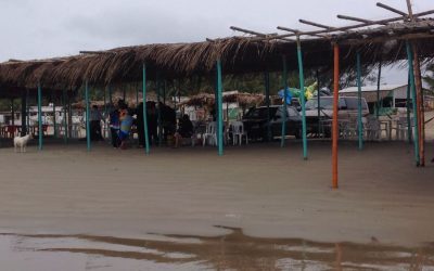 Verano, la mejor temporada para Palaperos
