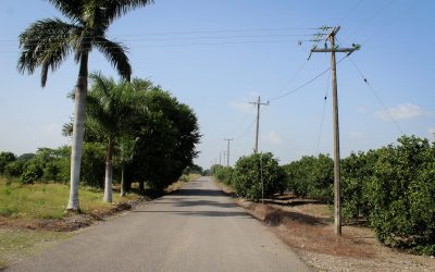 Ayuntamiento de Tuxpan, Amplió la Red Eléctrica en Frijolillo