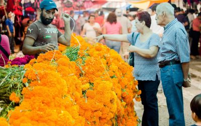 Tuxpan se Prepara Para la Tradicional Plaza de Todos Santos