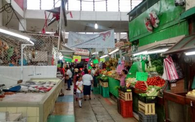 6 MDP para rehabilitación del Mercado Municipal