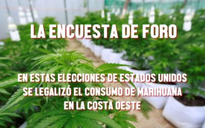 ¿ESTÁS DE ACUERDO EN LEGALIZAR LA MARIHUANA EN MEXICO?