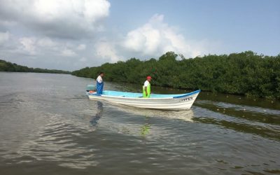 CFE pagará daños ocasionados a laguna de Tampamachoco