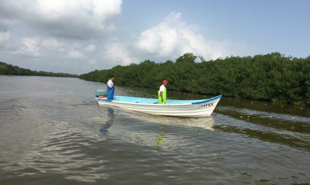 CFE pagará daños ocasionados a laguna de Tampamachoco