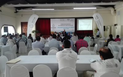 Veracruz dentro de los primeros lugares en arribo de turistas