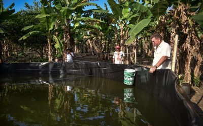 Autoridades Municipales, Supervisan Proyecto Acuícola en Higueral