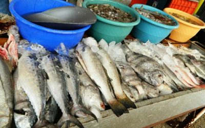 Escasean productos marinos
