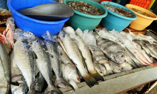 Escasean productos marinos