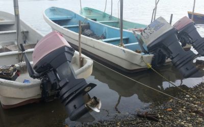 Pescadores requieren de apoyos para renovar equipos de pesca
