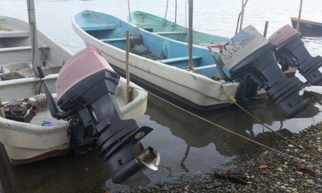 Pescadores requieren de apoyos para renovar equipos de pesca