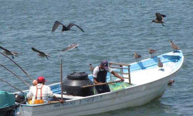 Pescadores preparan nueva demanda