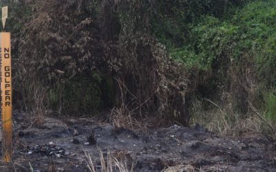 LA SECRETARÍA DE MARINA APOYA EN COMBATE A INCENDIO