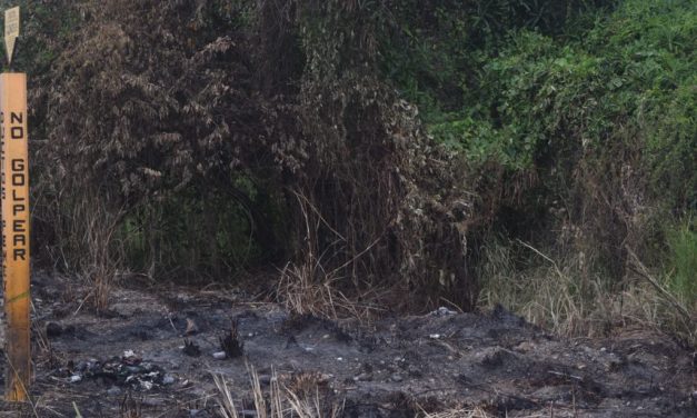 LA SECRETARÍA DE MARINA APOYA EN COMBATE A INCENDIO
