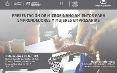 Buscan impulsar a microempresarios