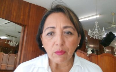 Panal exige seguridad en elecciones