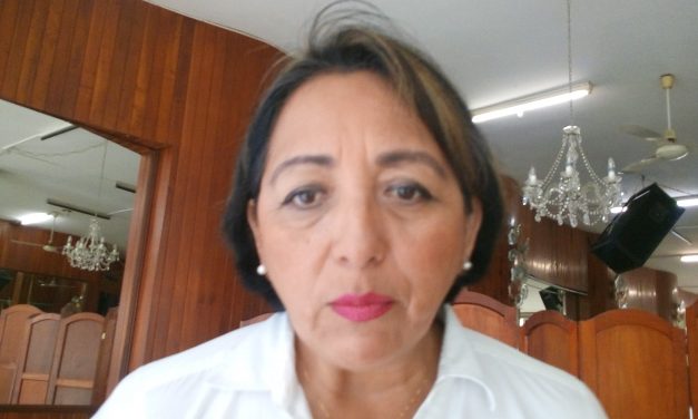 Panal exige seguridad en elecciones