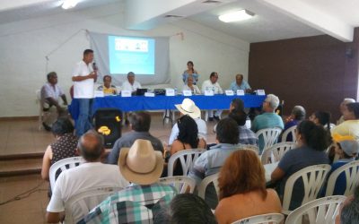 Taxistas demandan módulo de reordenamiento en Tuxpan