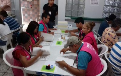 Arribaron las boletas al OPLE