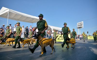 Tuxpan Será Sede del 1er Foro Interinstitucional  de Prevención del Delito y Apoyo a la Población