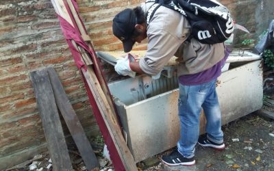 Refuerzan lucha contra el Dengue, Zika y Chikungunya