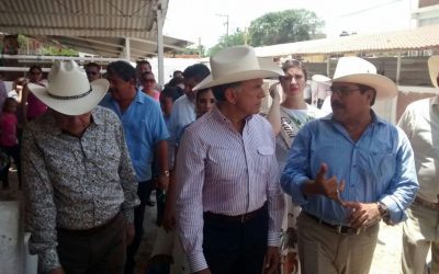 Buscan mejorar reproducción Ganadera