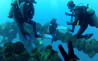 Buscan garantizar la preservación de arrecifes