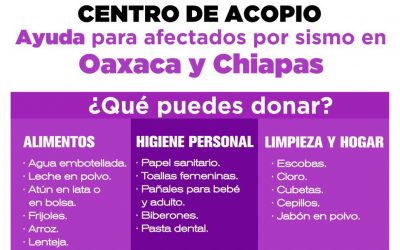 DIF instala nuevamente Centro de Acopio